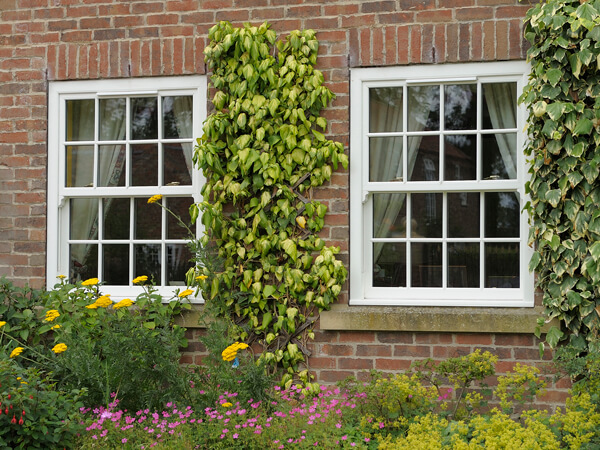 Sliding Sash Windows